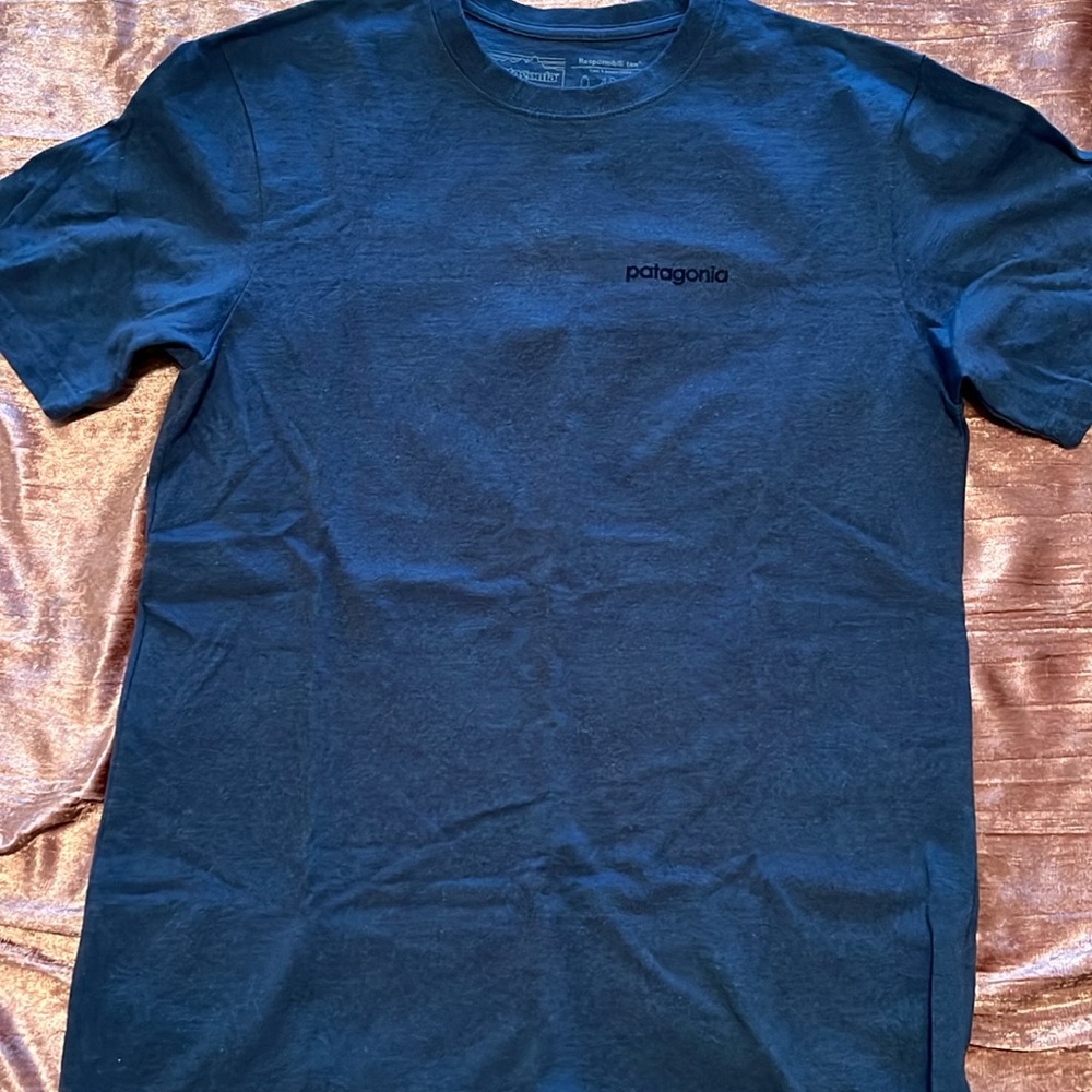Patagonia t shirt. Size small